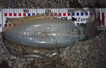 初キロアップ！