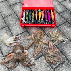 夏のタコゲーム