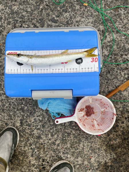 やはり日本海は、凄い。