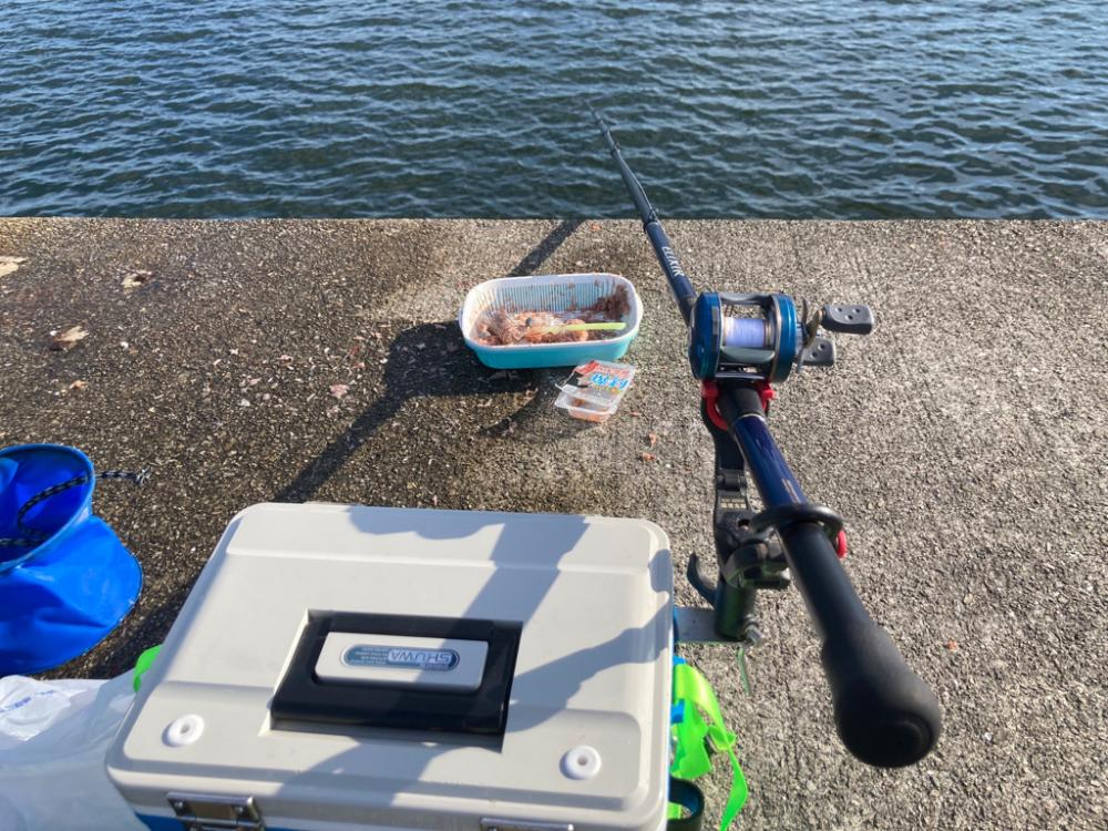 トツカアジ大漁(*^^*)