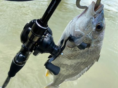 チニング チニング チニング