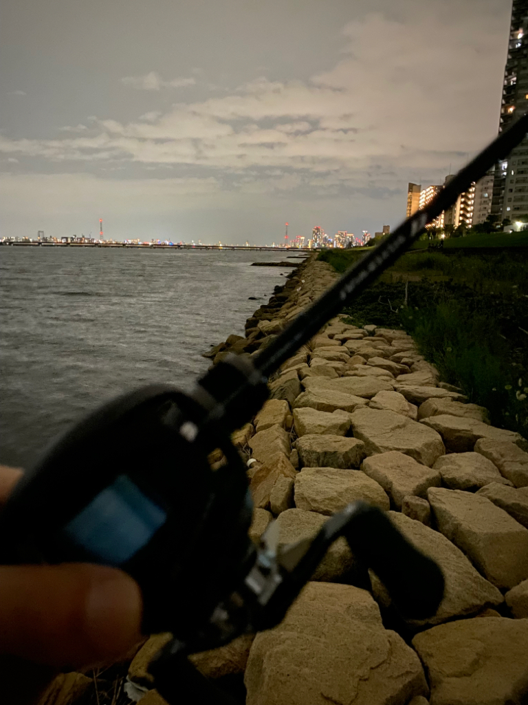 淀川ブリームゲーム