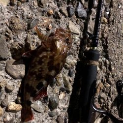 暑かった日(釣果は…)