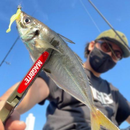 湾奥ライトゲーム！