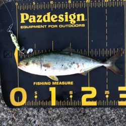 久しぶりにホームへ