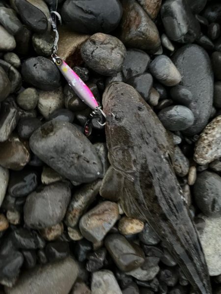 急深サーフでマゴチ！