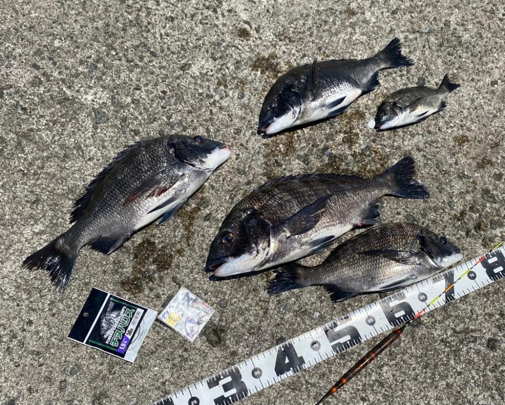 今回はこの配合 フカセ釣り