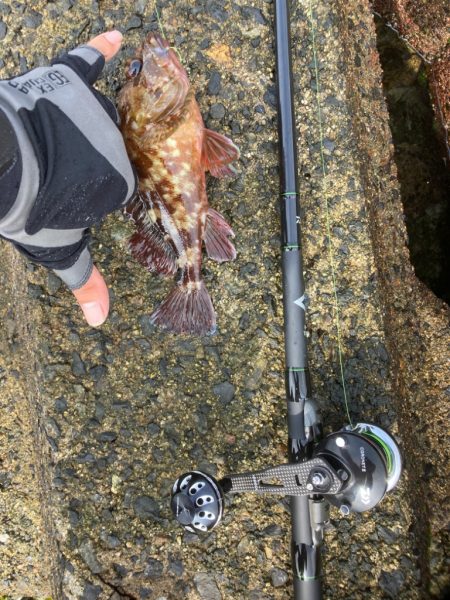 2022穴釣り16回目