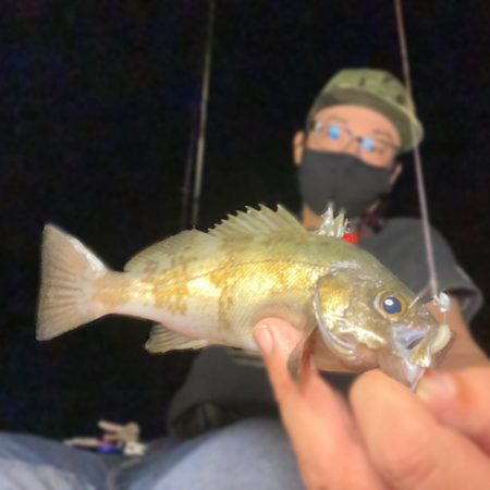 サイズは出ないけど…