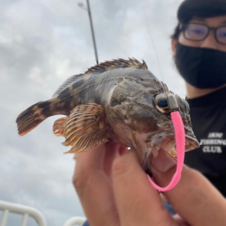 爆風ライトゲーム