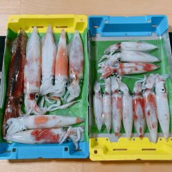 激渋！イカメタル