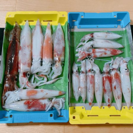 激渋！イカメタル