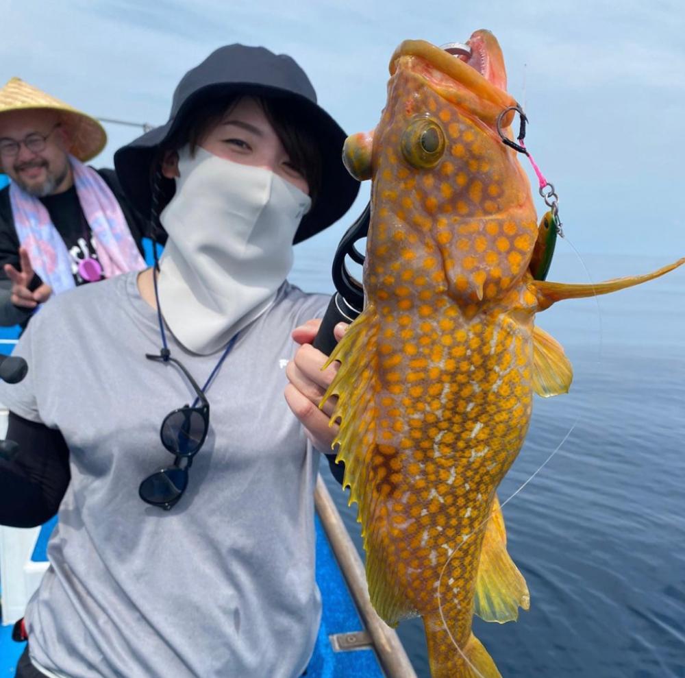 お土産にキジハタ🐟