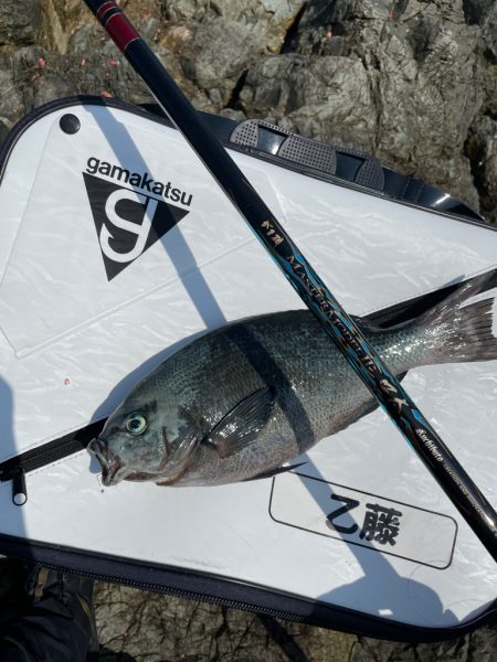 横島3番で梅雨グロ❗…