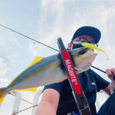 湾奥ライトゲーム！