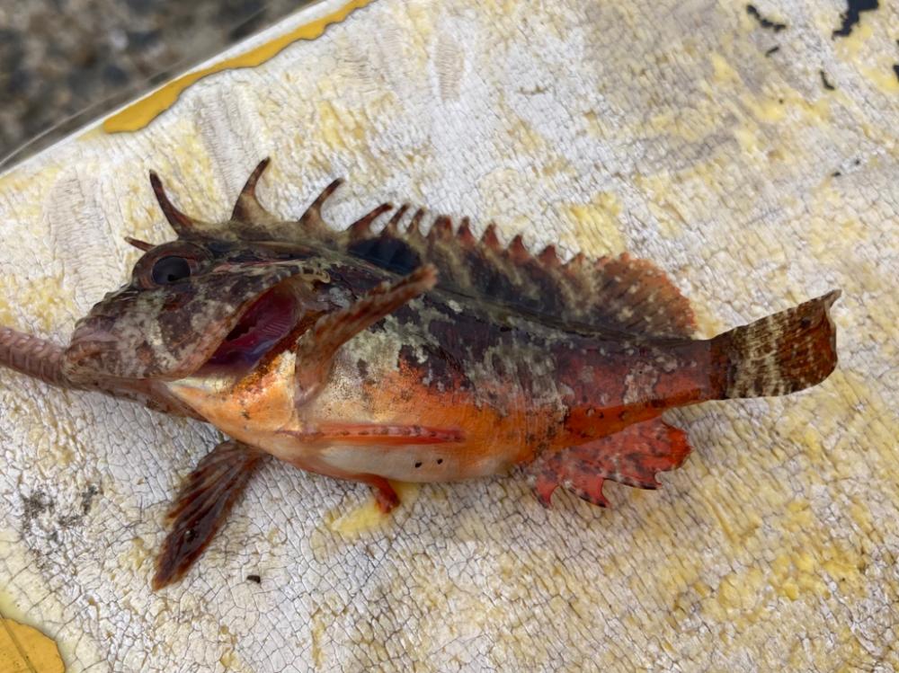 雨止む予報だってのに！