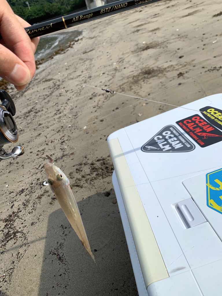 ショアからのキス