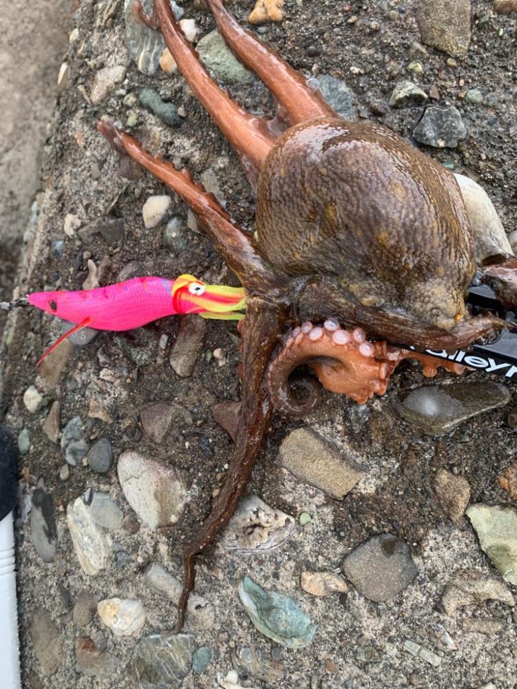 今日も渋い中、何とか！