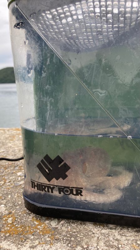 オクトパッシング