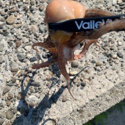 渋いけど、何とか！