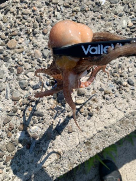 渋いけど、何とか！