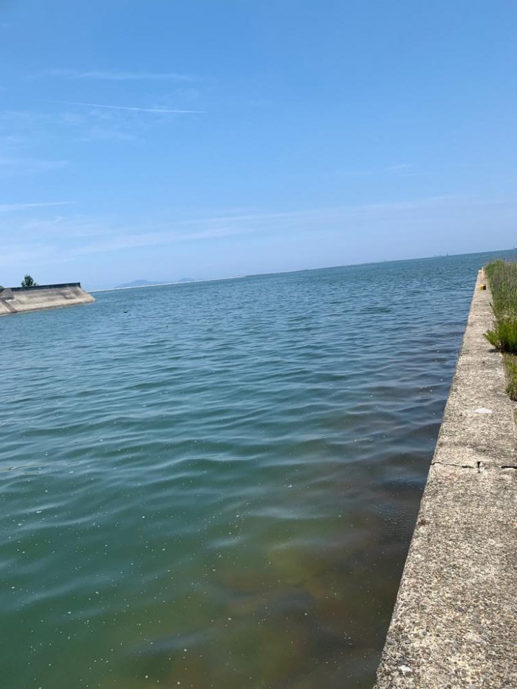 久し振りのフカセ