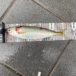 和歌山ショアジギ