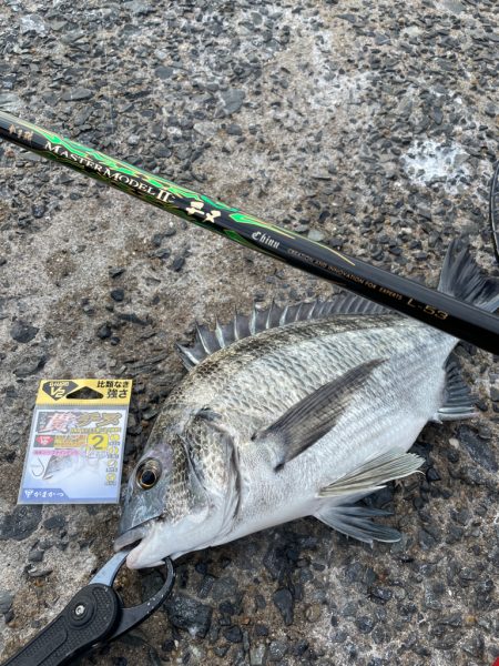 夕まづめ狙いで❗࿠…