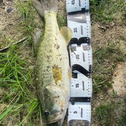 少し増水した川で！