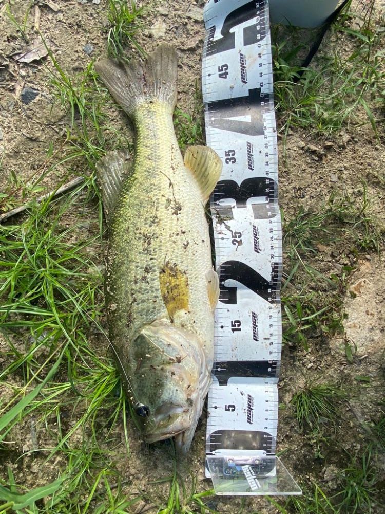 少し増水した川で！