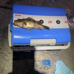 周防大島にて。