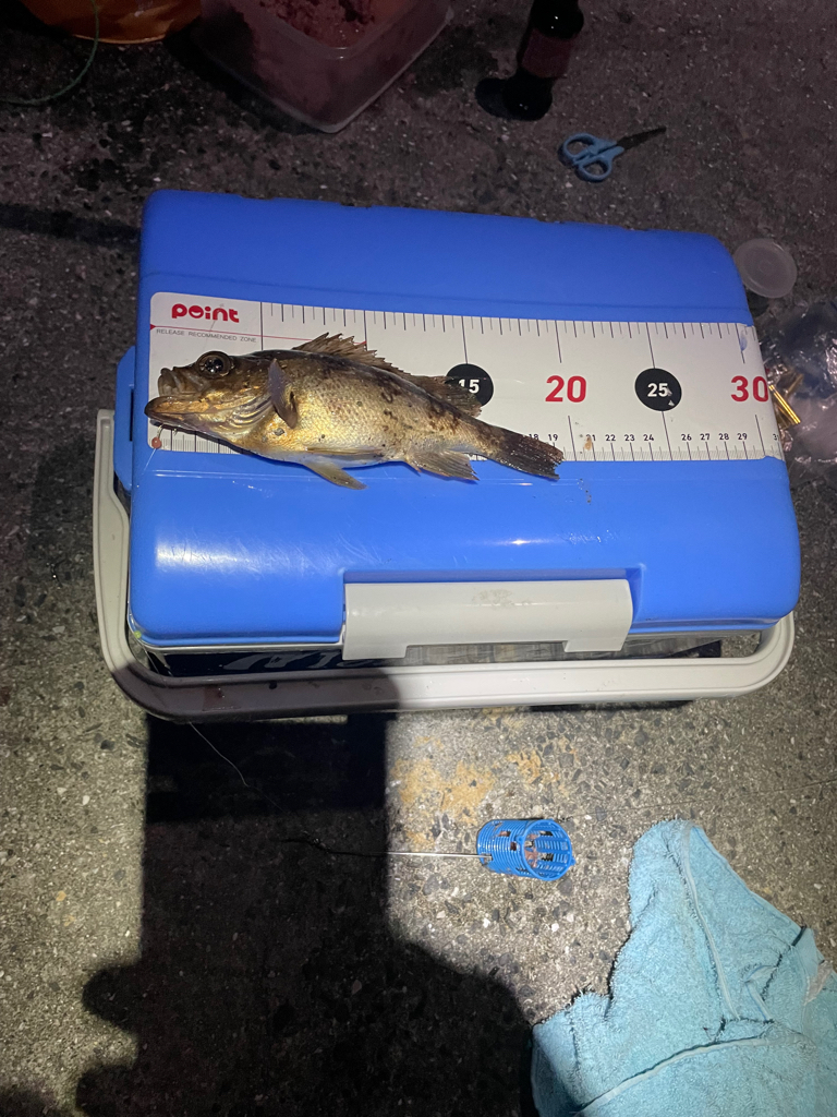 周防大島にて。