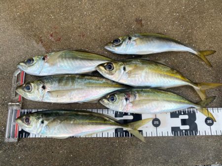 信頼のおけるリーダー