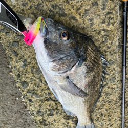 トップチニング