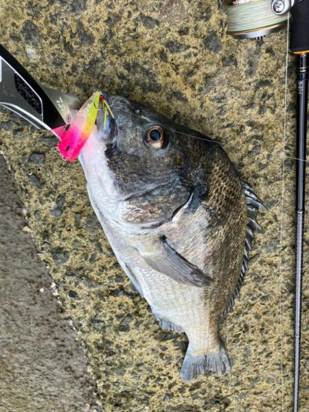 トップチニング