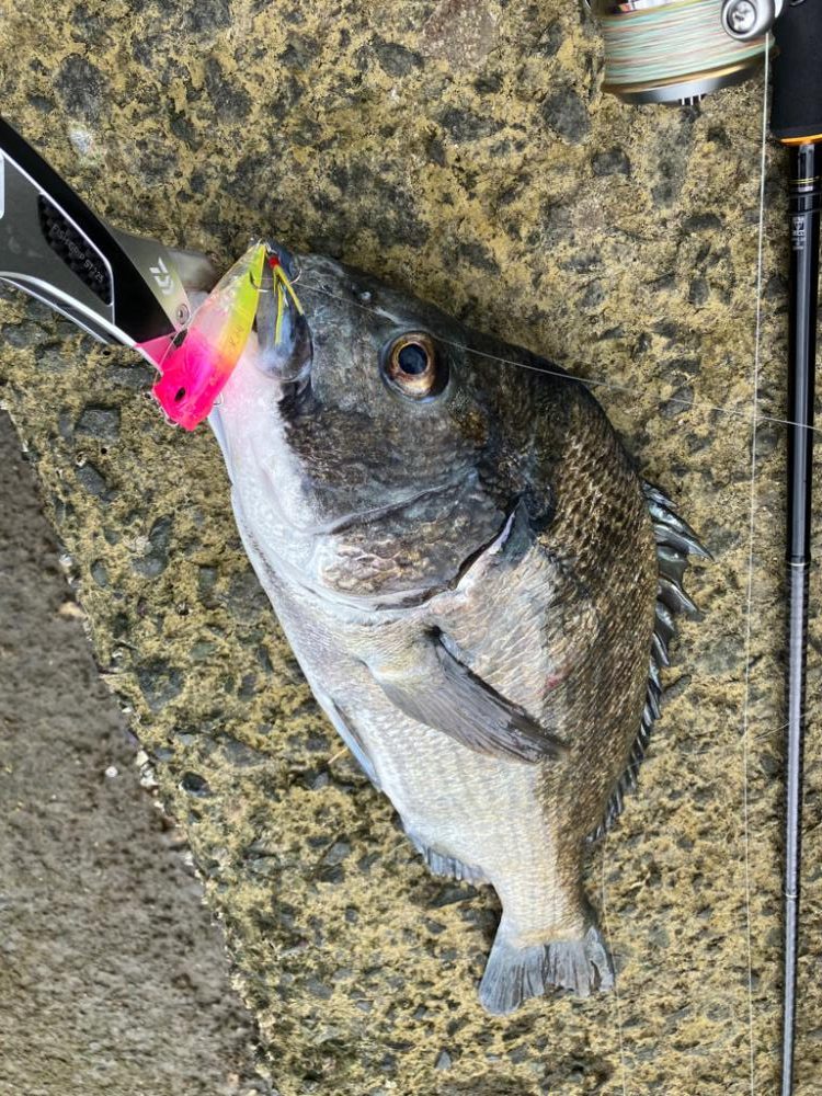 トップチニング