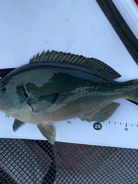 夏らしさ全開！