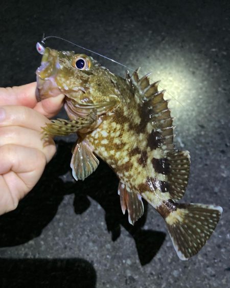 お手軽ライトゲーム