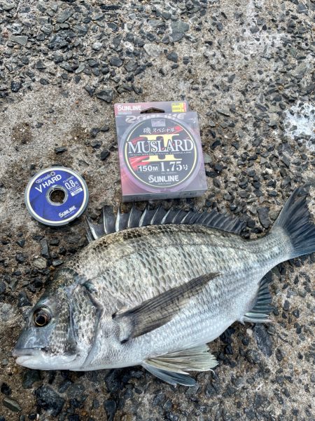 涼を求めて夕まづめに❗&#x…