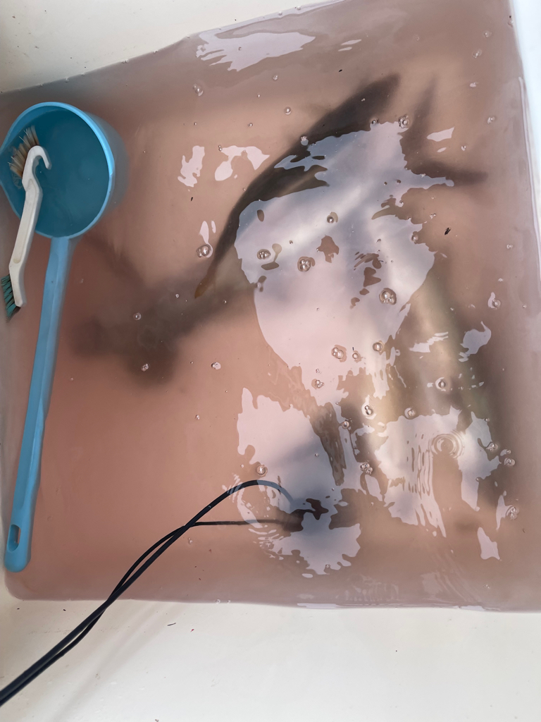 雨予報のマイボート釣行