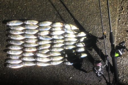 いつものところでいつものように…