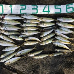 2022 佐渡ヶ島ライトゲーム