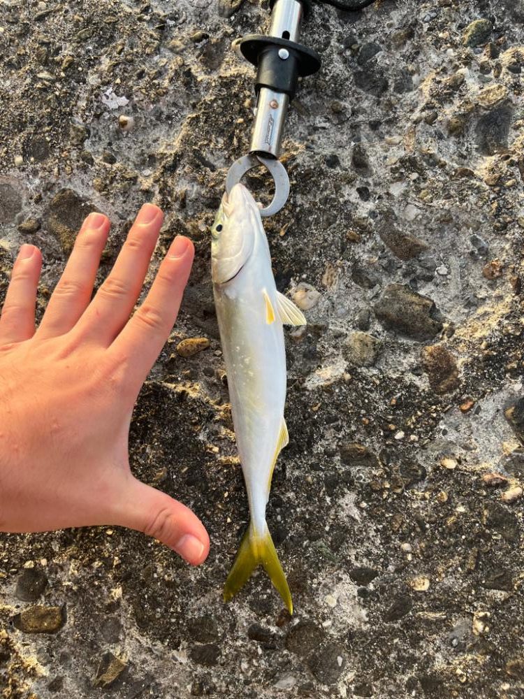 パターン掴めず