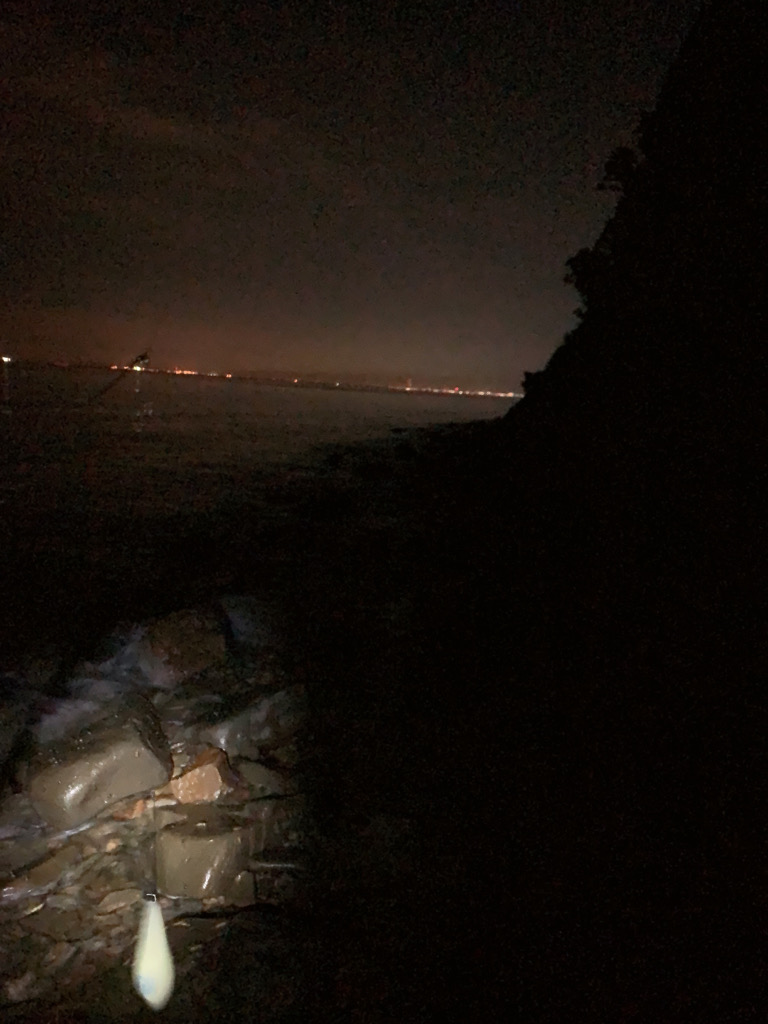 フロートアジング