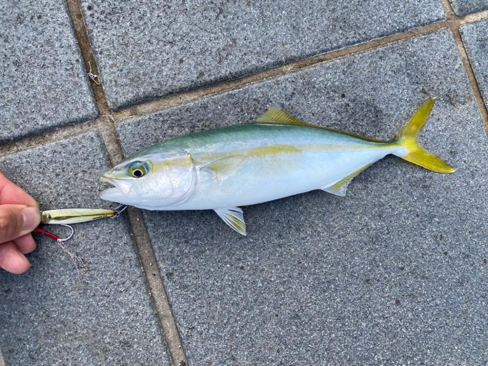 和歌山ショアジギ