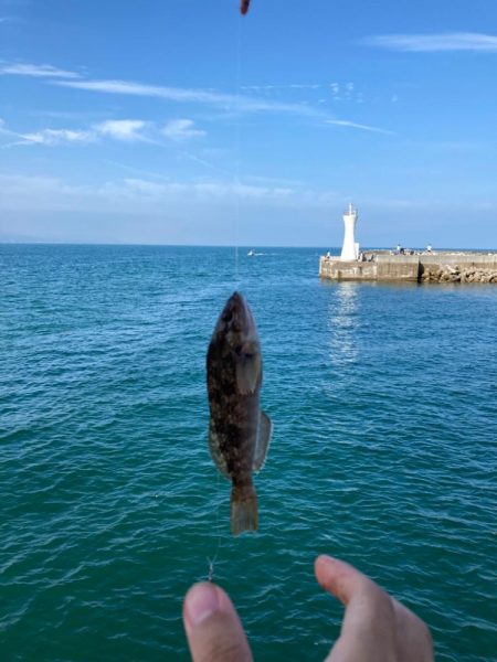 明石ちょい投げキス狙い