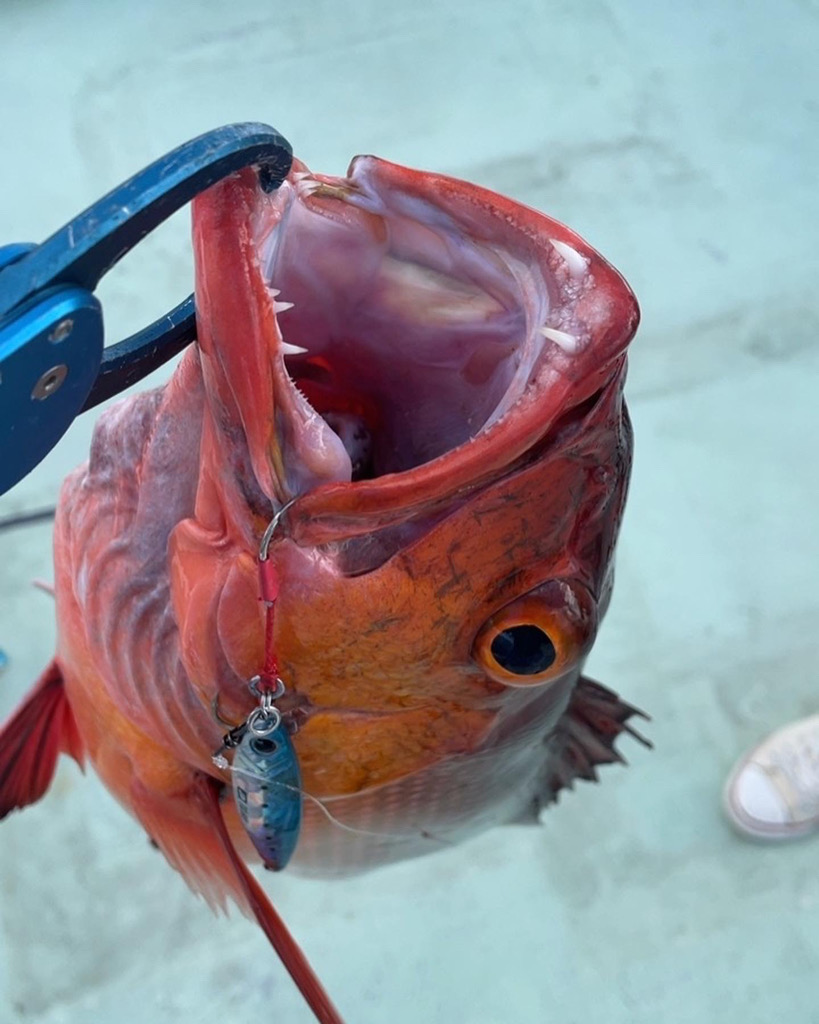 初めての宮古島！