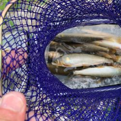 里山の休日　美山6