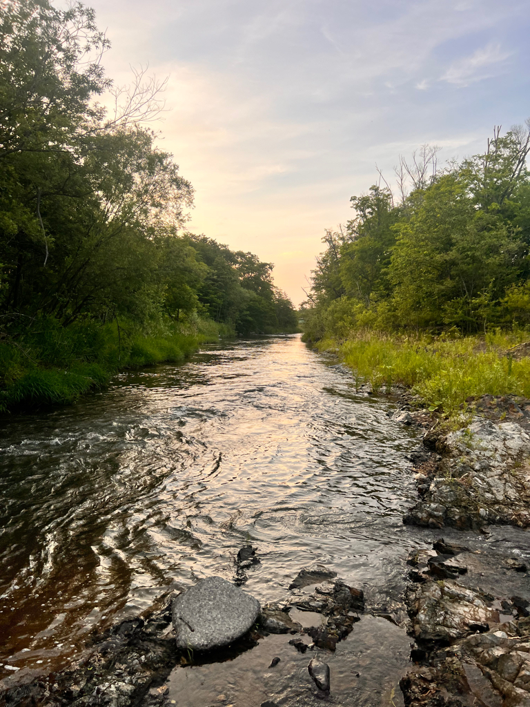渓流釣行　午後の部