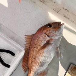 スーパーライトジギング